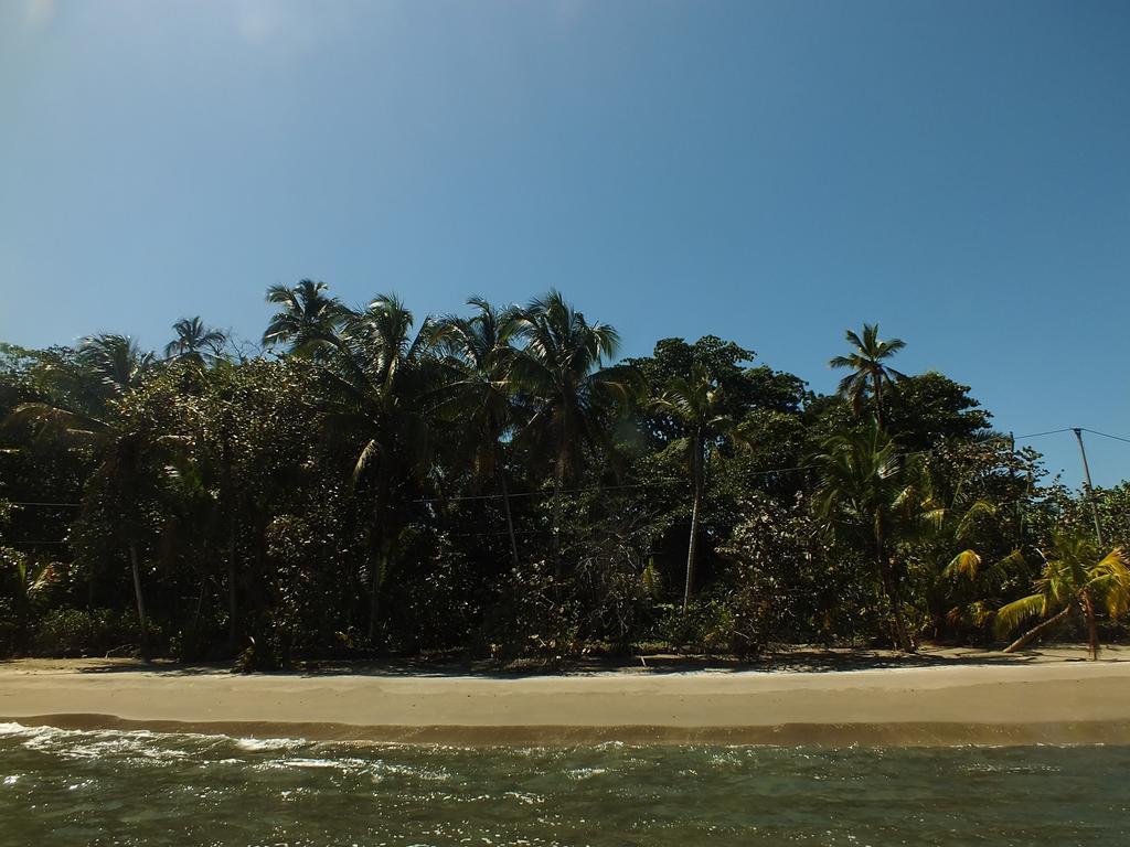 Cabinas Caribe Luna Cahuita Extérieur photo