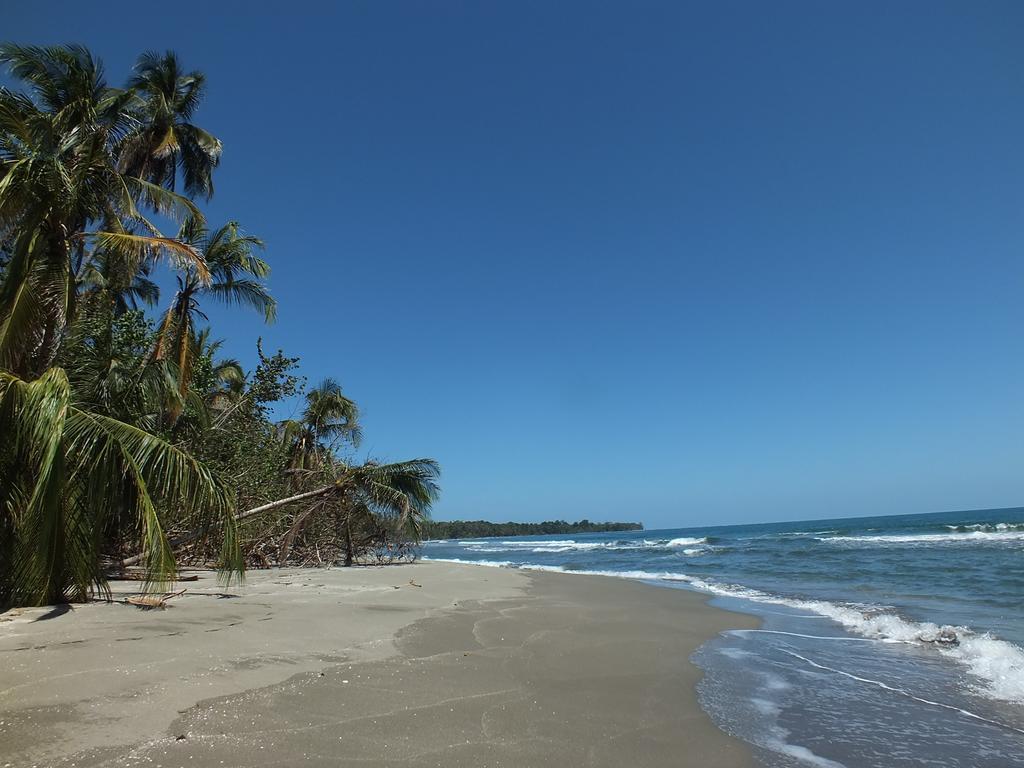 Cabinas Caribe Luna Cahuita Extérieur photo