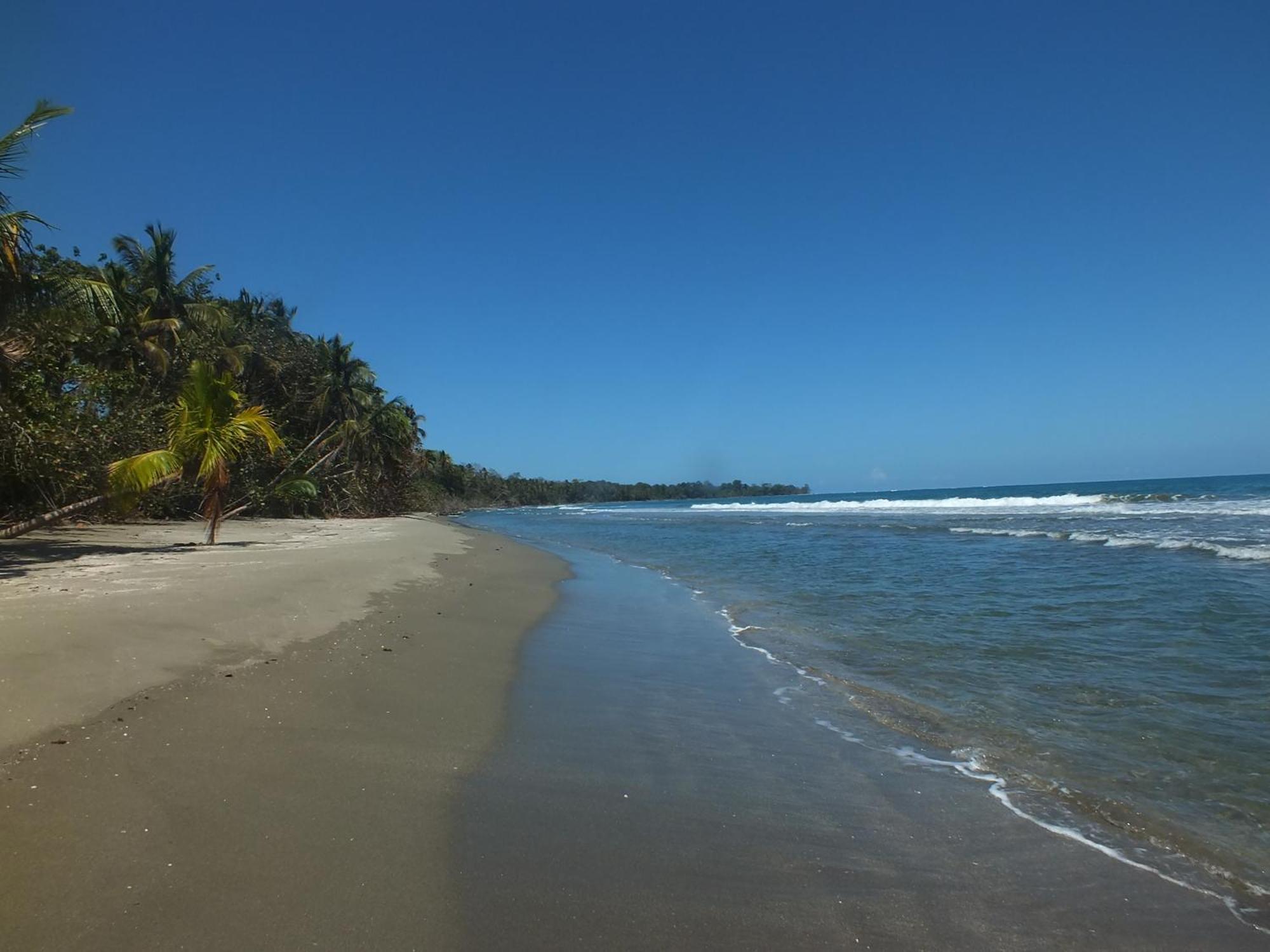 Cabinas Caribe Luna Cahuita Extérieur photo