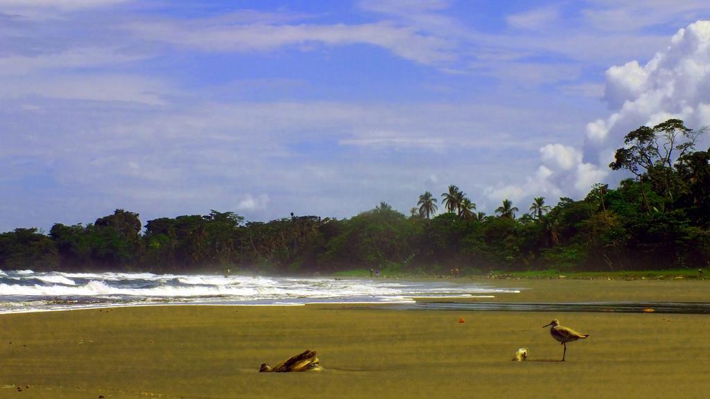 Cabinas Caribe Luna Cahuita Extérieur photo