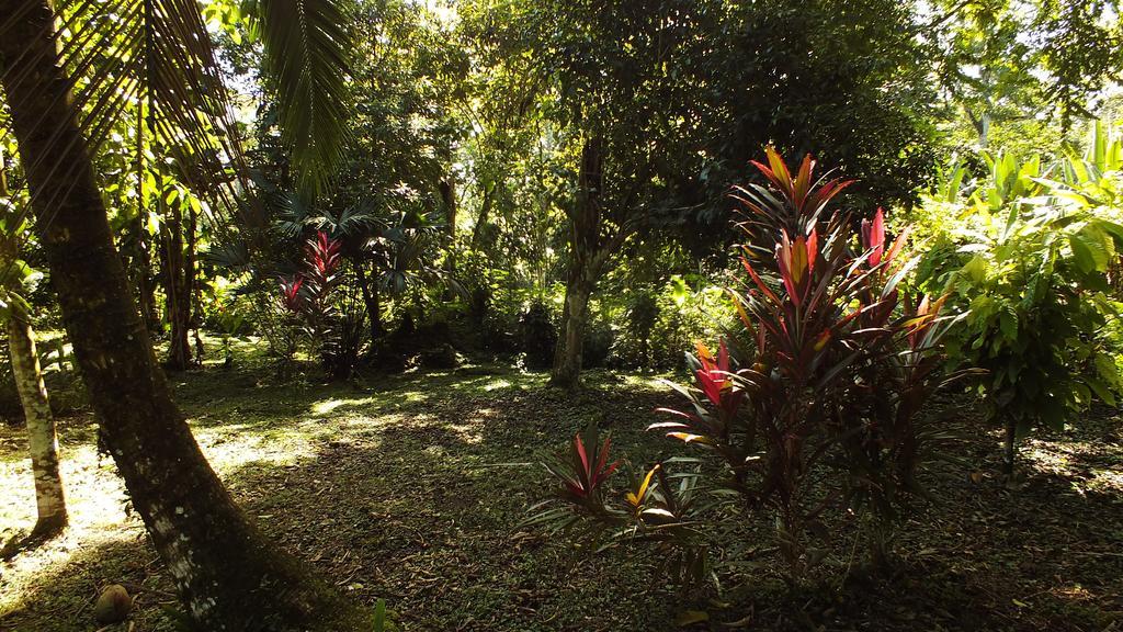 Cabinas Caribe Luna Cahuita Extérieur photo