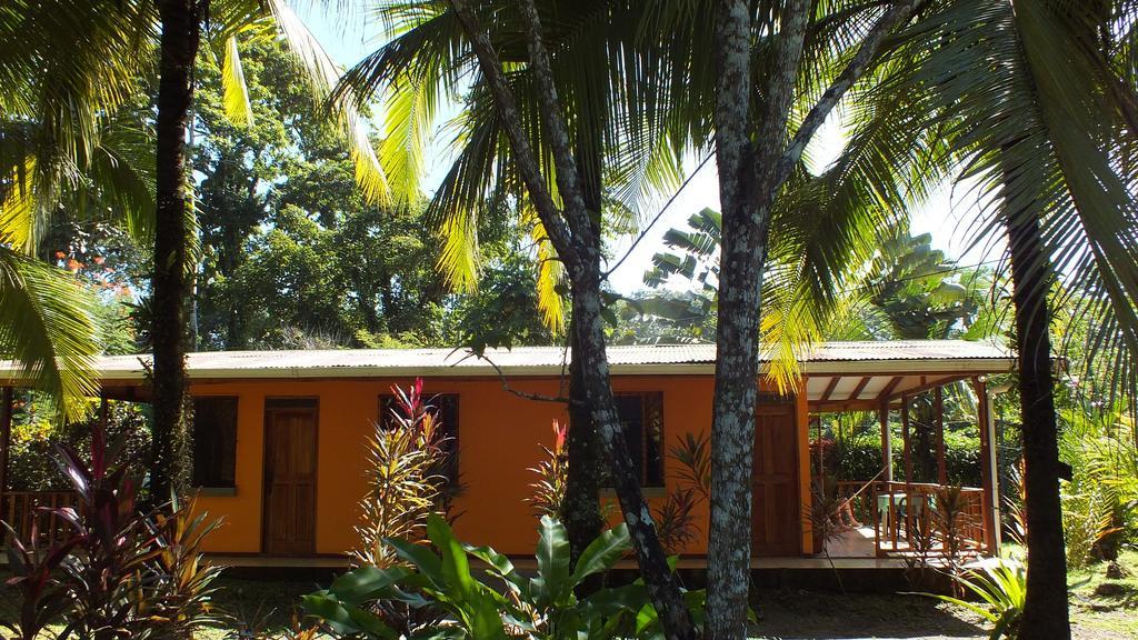 Cabinas Caribe Luna Cahuita Extérieur photo