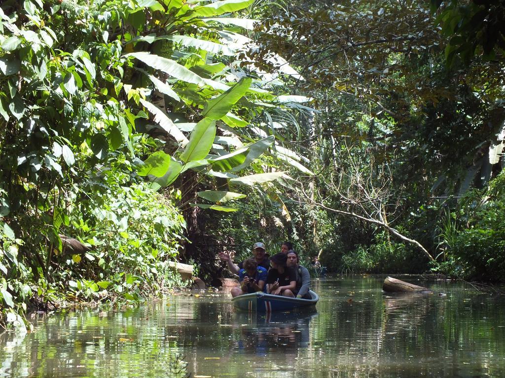 Cabinas Caribe Luna Cahuita Extérieur photo