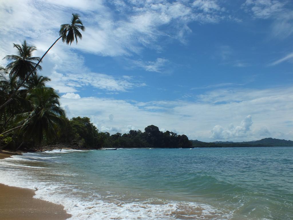 Cabinas Caribe Luna Cahuita Extérieur photo