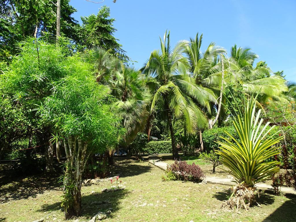 Cabinas Caribe Luna Cahuita Extérieur photo