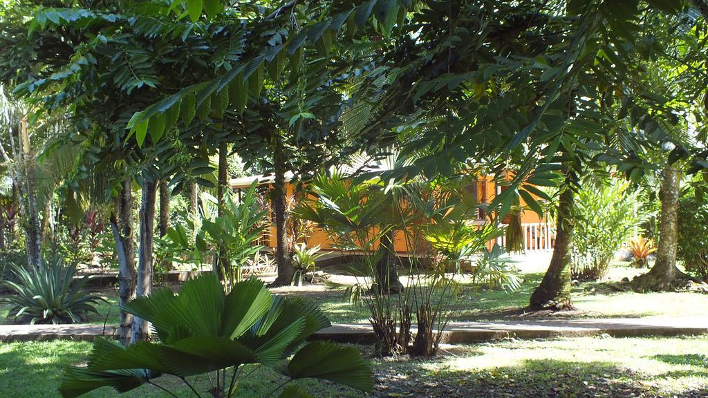 Cabinas Caribe Luna Cahuita Extérieur photo