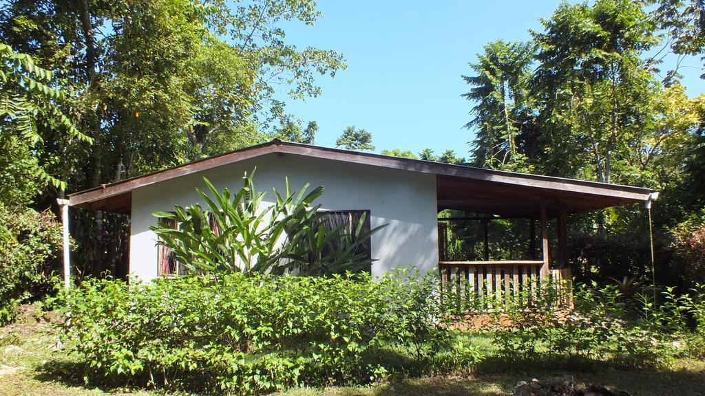 Cabinas Caribe Luna Cahuita Extérieur photo